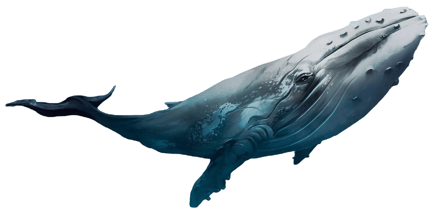 Whale